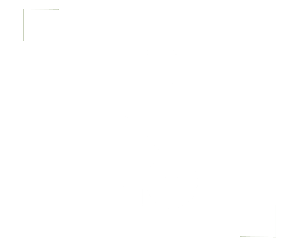 INDULO logo